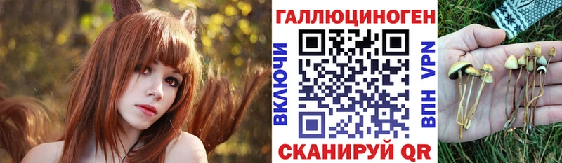 Галлюциногенные грибы Cubensis  hydra как зайти  Волжский 