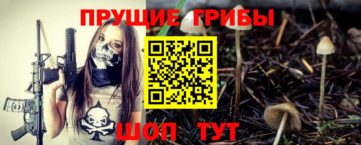 Галлюциногенные грибы GOLDEN TEACHER  Псилоцибиновые грибы Magic Shrooms  Волжский  Вход с VPN 